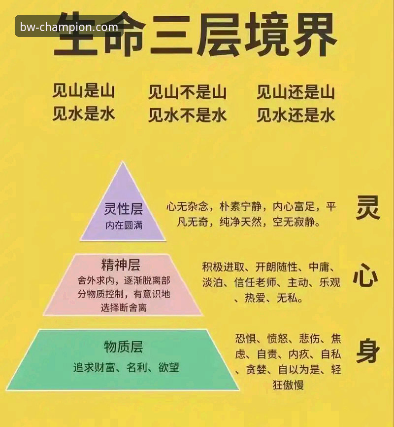 宝威体育手机版下载对比 5个关键对比维度,帮你选出最适合的宝威体育手机版下载版本